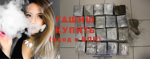 стаф Корсаков