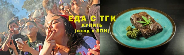 СК Коряжма