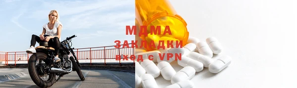 стаф Корсаков