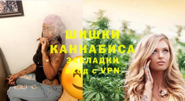 стаф Корсаков