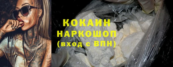 стаф Корсаков
