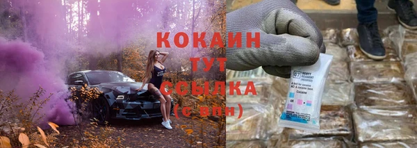 СК Коряжма
