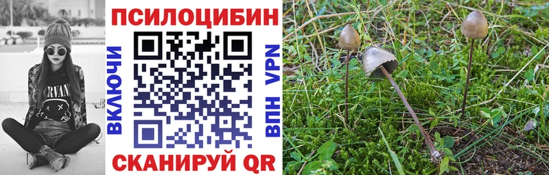 Псилоцибиновые грибы Magic Shrooms  блэк спрут зеркало  Ленинск-Кузнецкий 