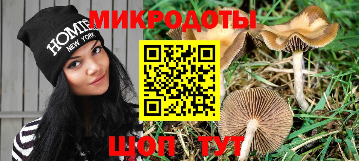 Ленинск-Кузнецкий  Галлюциногенные грибы Psilocybe  Псилоцибиновые грибы Psilocybine cubensis  Вход с VPN 